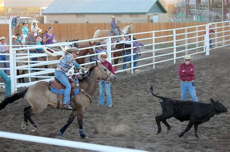 DreamHorse Jumps, Ranch, Trails, Family Safe. . Horses for sale in idaho